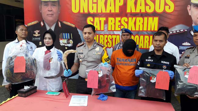 DIRINGKUS - Salah satu tersangka percobaan pembunuhan, Sahid (33) warga Desa Kedungrejo, Kecamatan Waru, Sidoarjo dipamerkan beserta barang buktinya di halaman Polresta Sidoarjo, Senin (05/08/2019)