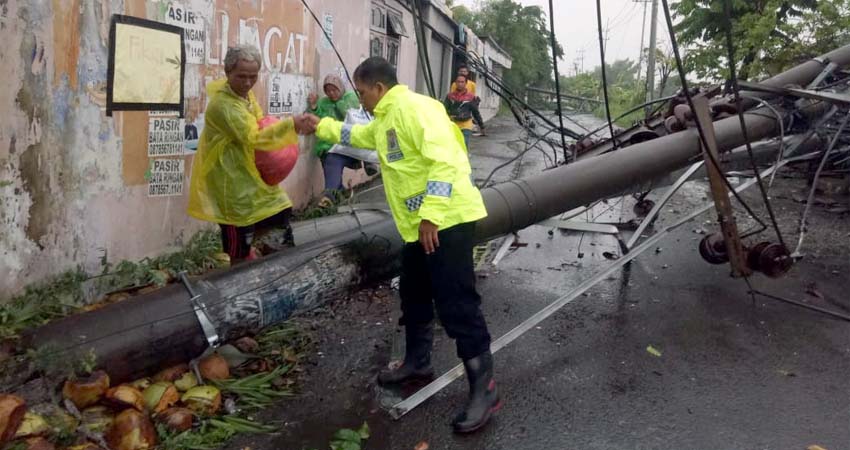 Kapolresta Sidoarjo Cek Lokasi Pohon dan Tiang Listrik Tumbang di Krian